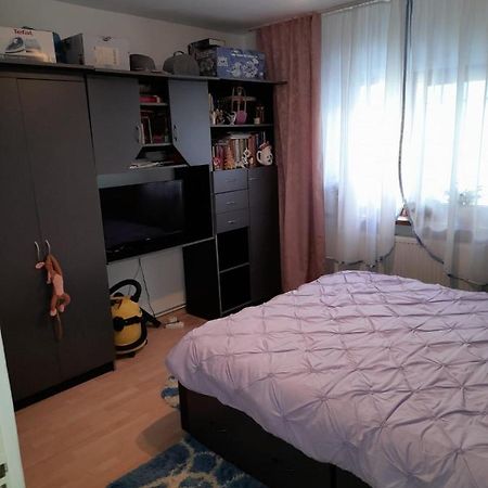Apartament Straja - Lupeni  Экстерьер фото