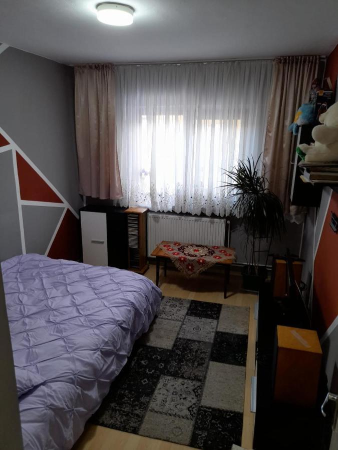 Apartament Straja - Lupeni  Экстерьер фото